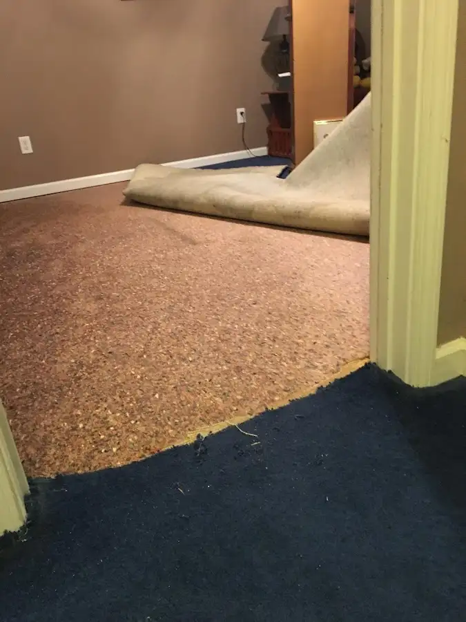 Carpet pad removal revealing water damage during Drying & Dehumidification in Rockland