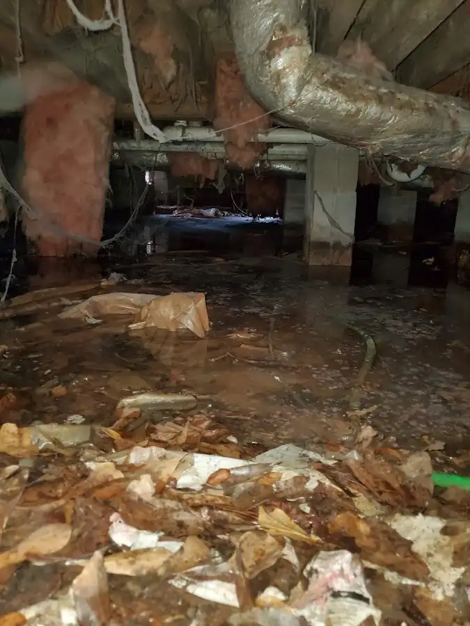 Crawl space flood assessment for Leak Detection & Repair in Rockland